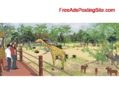 Zoo Consultants Services and Animal Exhibit Designer