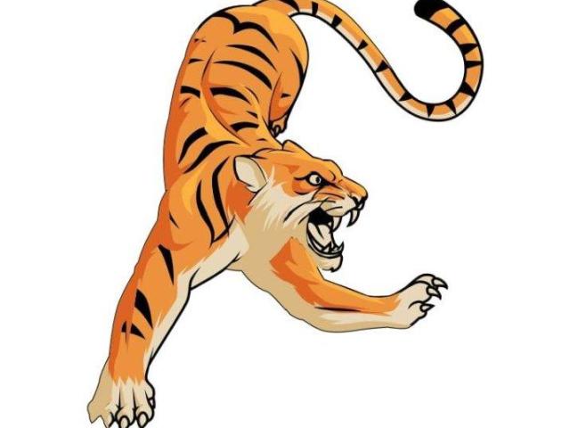 Web Development company in Canada