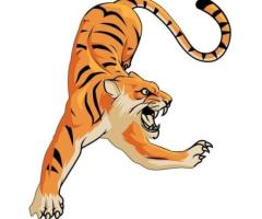 Web Development company in Canada