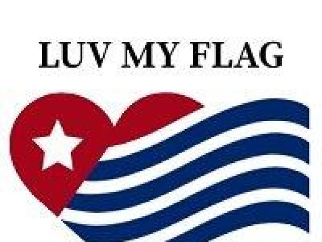 Flag handbags and purses