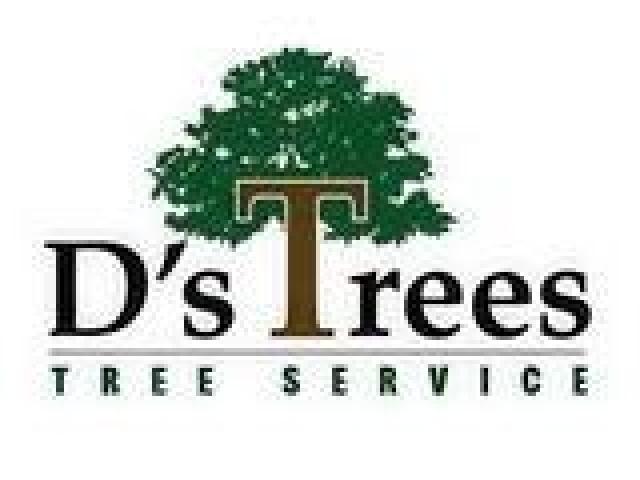 D’s Trees