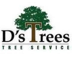 D’s Trees