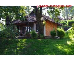 Best Coorg Resorts Packages