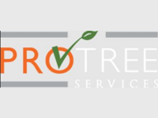 Pro Tree Services LLC