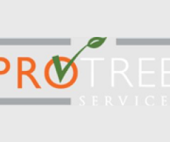 Pro Tree Services LLC