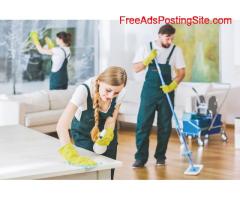 Professional home cleaning