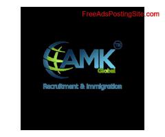 Looking for Immigration and Requirements Service Provider in India?