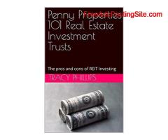 Penny Properties 101 Real Estate Investment Trusts
