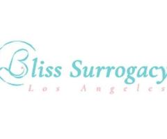 Bliss Surrogacy Los Angeles