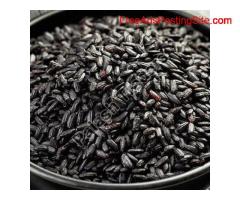 Best black rice exporters in India | Palash Traders