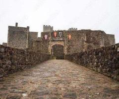 Get a fully trained, supportive, and licensed tour guide for the Windsor Castle tours