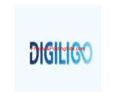 Digiligo- Digital Marketing Services provided in India