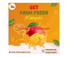 Top Quality Fresh Mangoes from ABI Mangoes