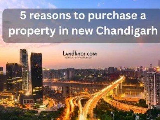 Why New Chandigarh Is Becoming a Popular Choice for Property Buyers