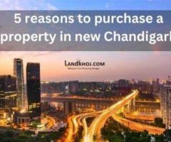Why New Chandigarh Is Becoming a Popular Choice for Property Buyers