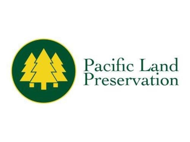 PLP Tree Service Marysville