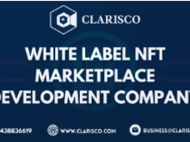 Developing a White Label NFT Marketplace: An Intelligent Way to Launch Your NFT Platform