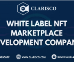 Developing a White Label NFT Marketplace: An Intelligent Way to Launch Your NFT Platform