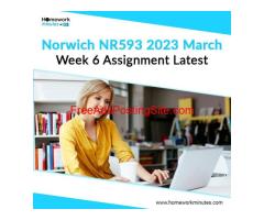 Norwich NR593 2023 March Week 6 Assignment Latest