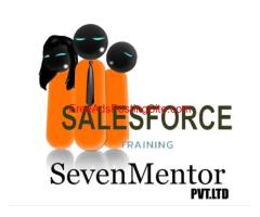 Salesforce Training Institute In Pune