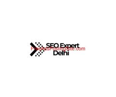 SEO Expert in Delhi: Optimizing Your Website for Better Results