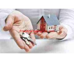 Manage Your Property with Professional Management Expert