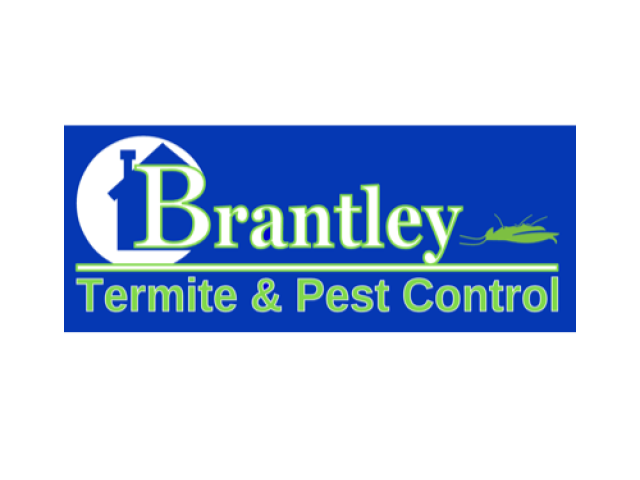 Effective Termites Extermination Service