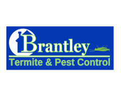 Effective Termites Extermination Service