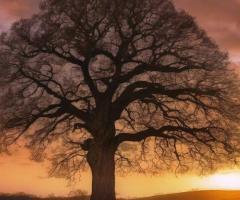 DWI Bail Bonds in Eagan, MN