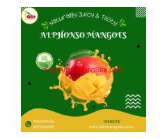 One of the best online sellers of tasty, natural mangoes in Namakkal, Tamil Nadu is Abi Mangoes.