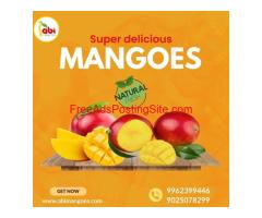 One of the best online sellers of tasty, natural mangoes in Namakkal, Tamil Nadu is Abi Mangoes.