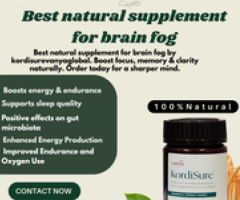 Best Natural Supplement for Brain Fog — Restore Focus Naturally: