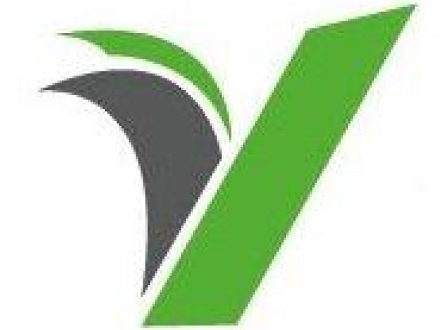 Valley Valuations- Dependable Consultant for Diverse Merger and Acquisition Needs