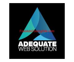 Maximizing Your Online Potential with Adequate Web Solution