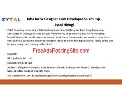 Jobs for Sr Designer Cum Developer 5+ Yrs Exp - Zytal Hiring