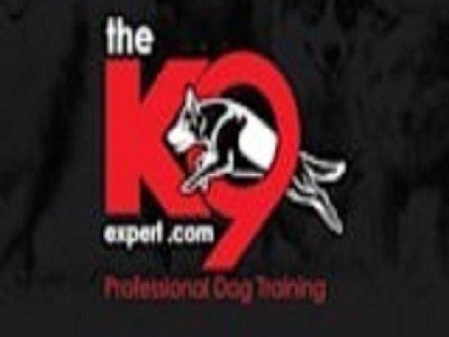 The K9 Expert