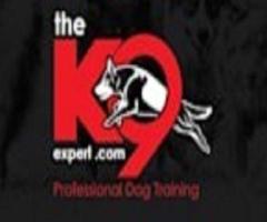 The K9 Expert