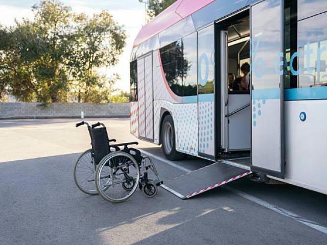 Amani Services – Trusted NDIS Transport Support