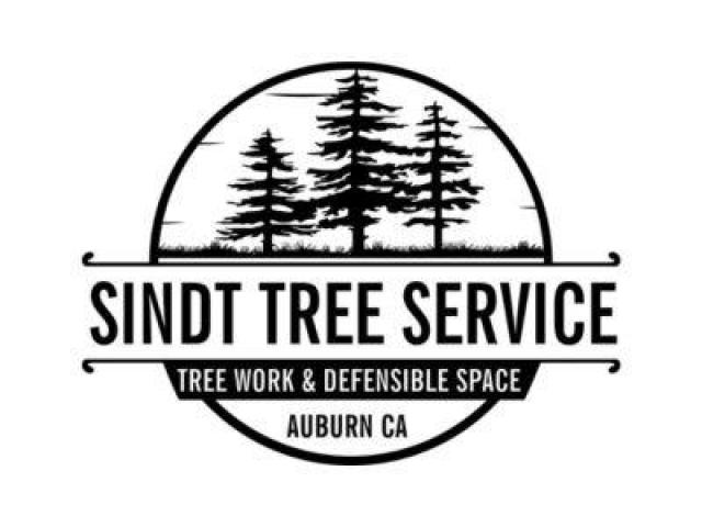 Sindt Tree Service