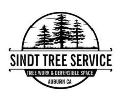 Sindt Tree Service