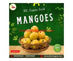Buy Premium 100% Organic Mangoes in India Online