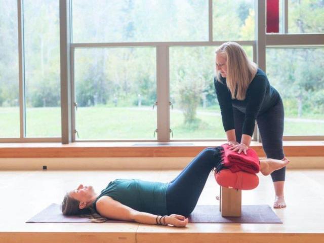 Online Fertility Yoga Teacher Training & Mentorship Programs