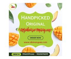Buy Premium 100% Organic Mangoes in India Online