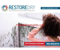 Get Expert Solutions for Mold Remediation | Restore Dry, LLC