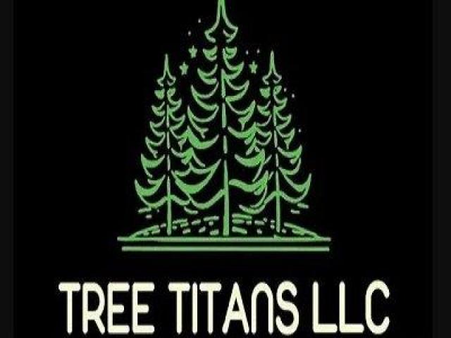 Tree Titans LLC