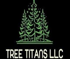 Tree Titans LLC