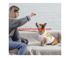 Funny Dog T-Shirt