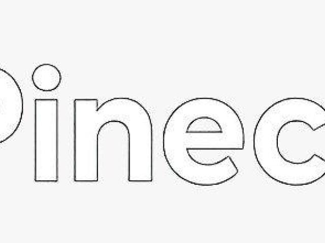 Pinecone Matches Inibox