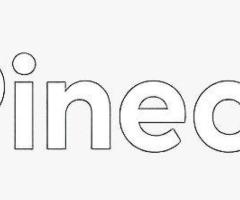 Pinecone Matches Inibox