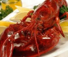 Shop Cooked Lobsters